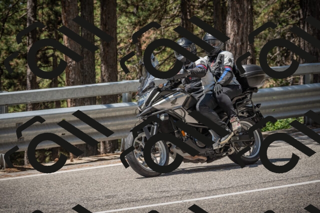 20250712120629-_5003238_am_