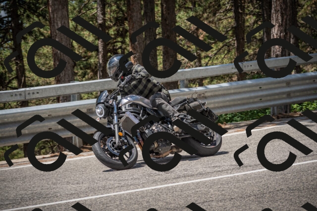 20250712121237-_5003324_am_