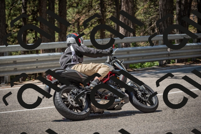 20250712122037-_5003451_am_