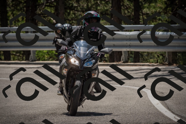 20250712122639-_5003475_am_