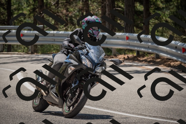 20250712122640-_5003476_am_