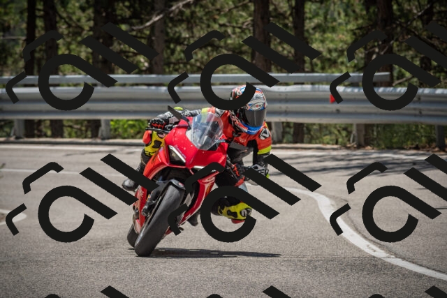 20250712123114-_5003531_am_