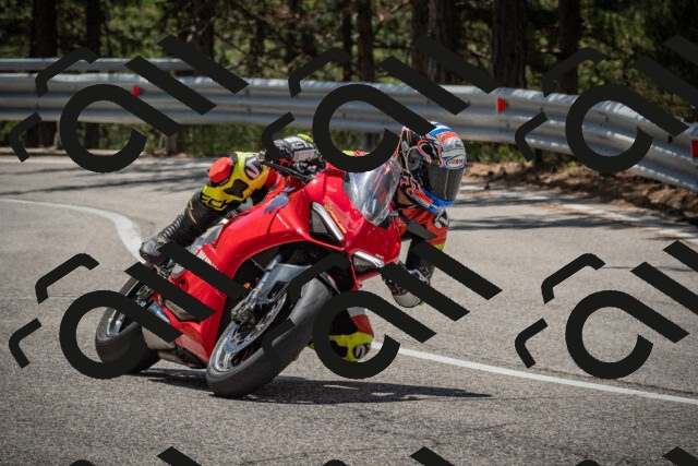 20250712123114-_5003532_am_