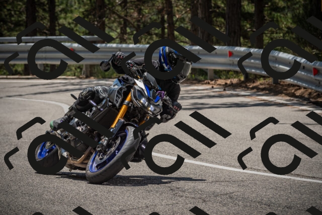 20250712123137-_5003539_am_