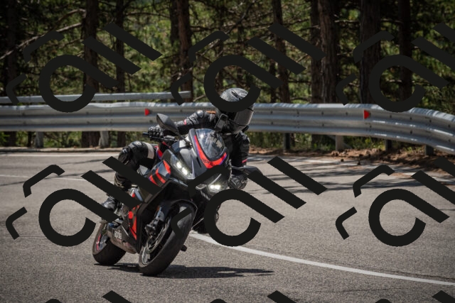 20250712123238-_5003551_am_