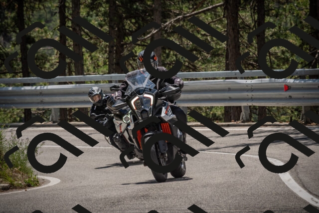 20250712123247-_5003556_am_