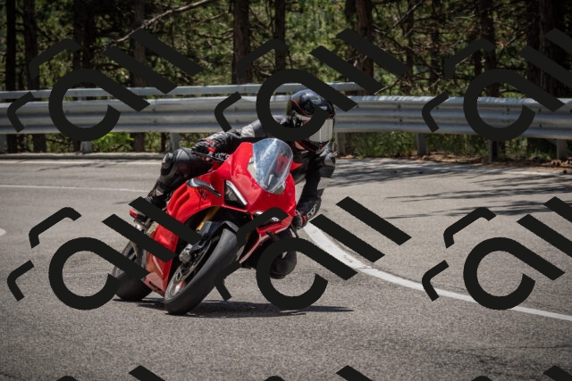 20250712123629-_5003608_am_