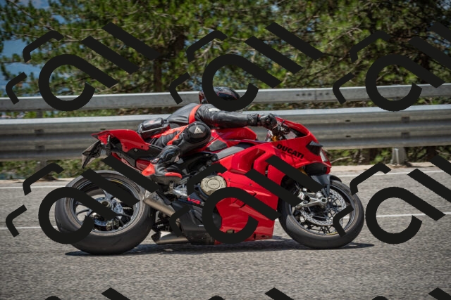 20250712123630-_5003610_am_