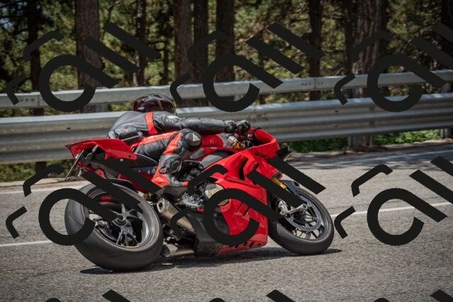 20250712123630-_5003611_am_