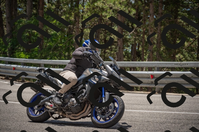 20250712123655-_5003619_am_