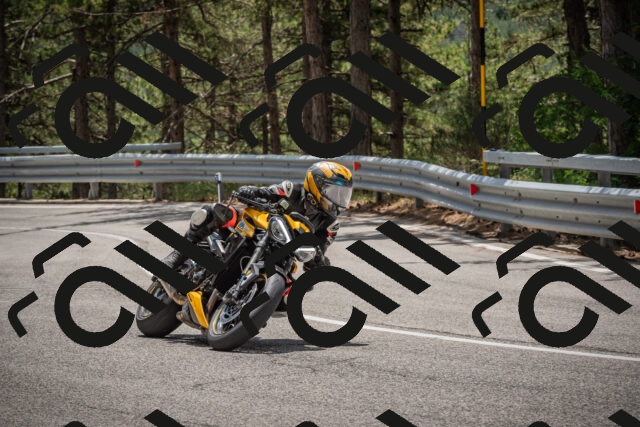 20250712123954-_5003644_am_