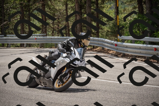 20250712124007-_5003653_am_