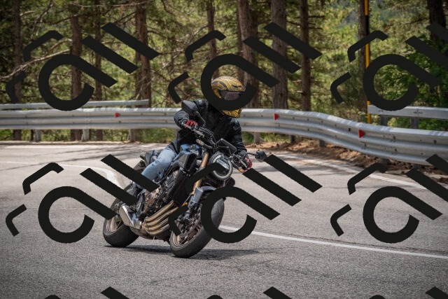 20250712124231-_5003681_am_