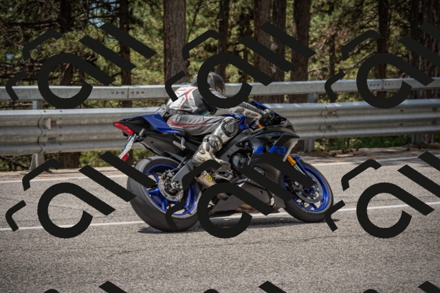 20250712124319-_5003702_am_