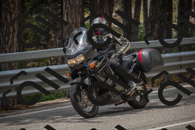 20250712124505-_5003713_am_