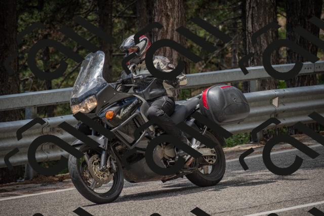 20250712124505-_5003714_am_