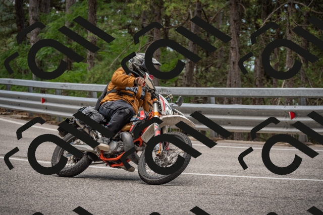 20250712125006-_5003772_am_