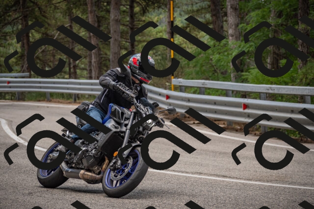 20250712125016-_5003778_am_