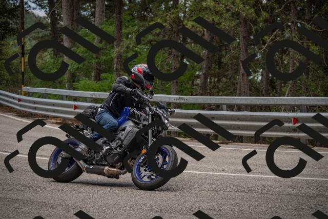 20250712125016-_5003779_am_