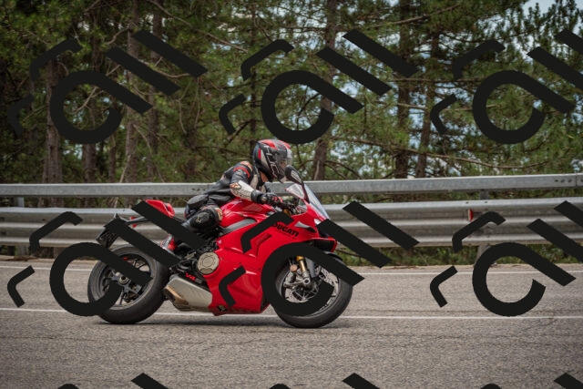 20250712125028-_5003796_am_