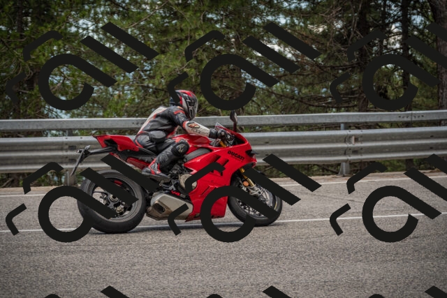 20250712125029-_5003798_am_