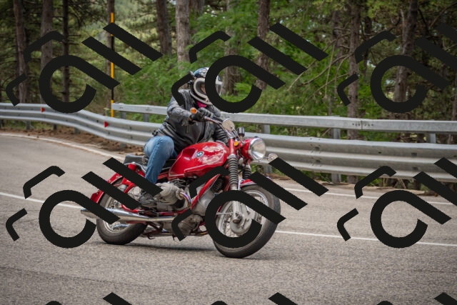 20250712125110-_5003816_am_