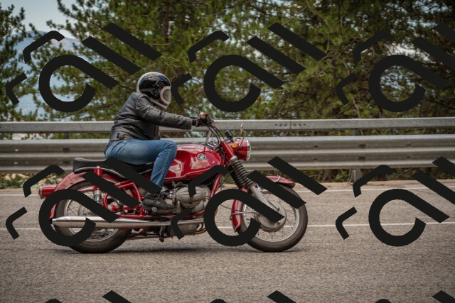 20250712125110-_5003818_am_