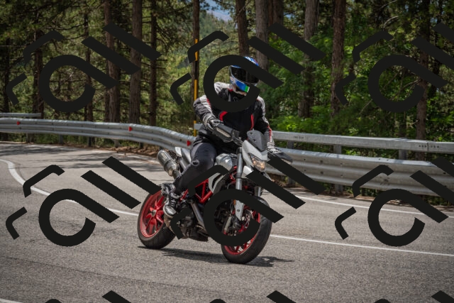 20250712125547-_5003846_am_