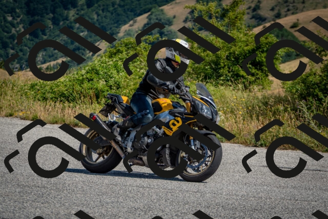 202507121046-DSC_5896_c2