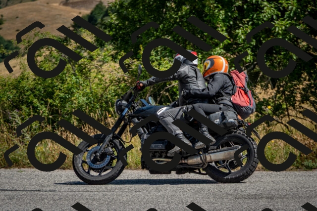 202507121050-DSC_5909_c2