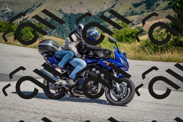 202507121055-DSC_5927_c2