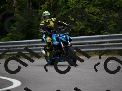 202507131038-_DSC3794_d2_