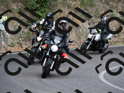 202507131127-_DSC4047_d2_