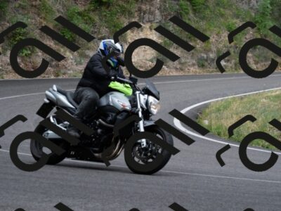 202507131127-_DSC4054_d2_