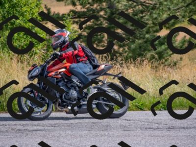 202507131000-DSC_6683_c4_