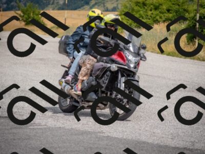 202507131112-DSC_7295_c4_