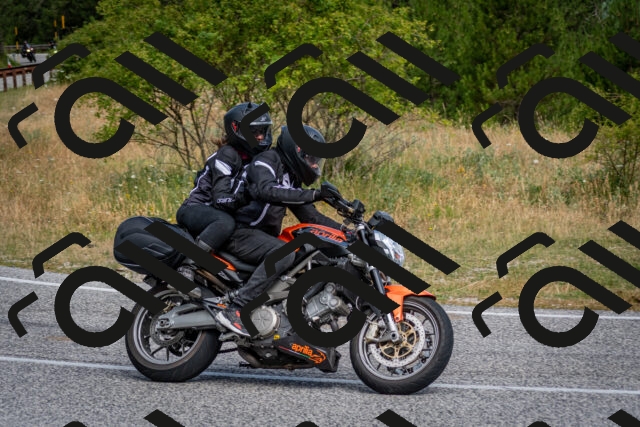 202507131002-DSC_6995_c2