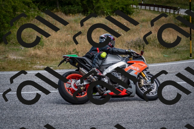 202507131005-DSC_7007_c2