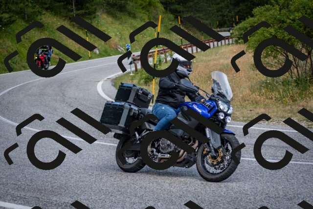 202507131006-DSC_7020_c2