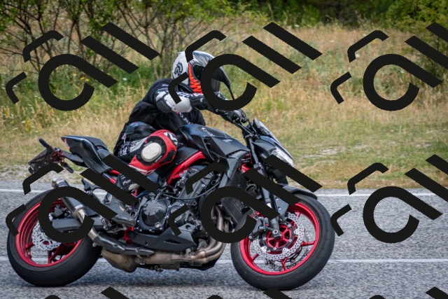 202507131007-DSC_7029_c2