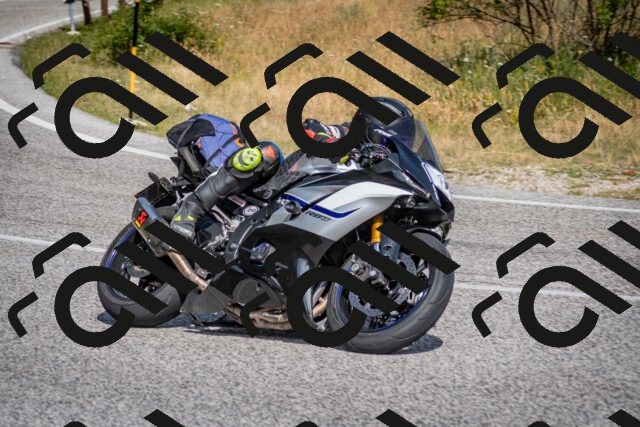 202507131018-DSC_7081_c2