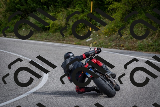 202507131024-DSC_7135_c2