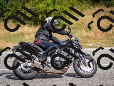 202507131025-DSC_7145_c2