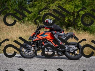 202507131028-DSC_7200_c2