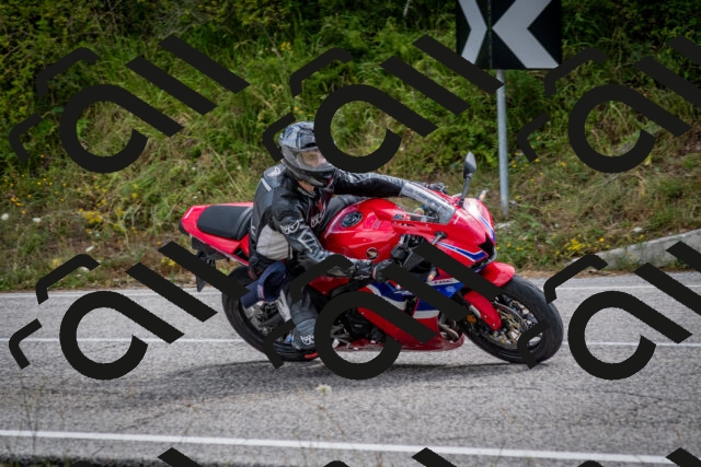 202507131030-DSC_7227_c2