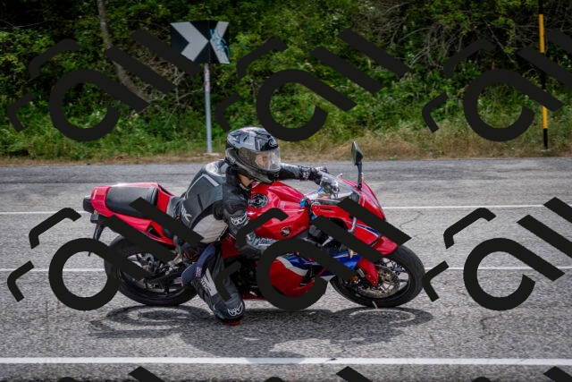 202507131030-DSC_7228_c2