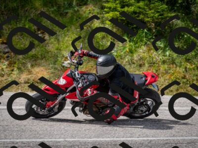 202507131030-DSC_7233_c2