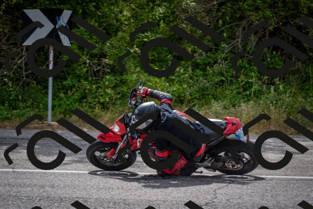 202507131030-DSC_7238_c2