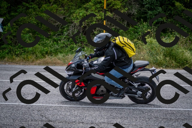 202507131030-DSC_7250_c2