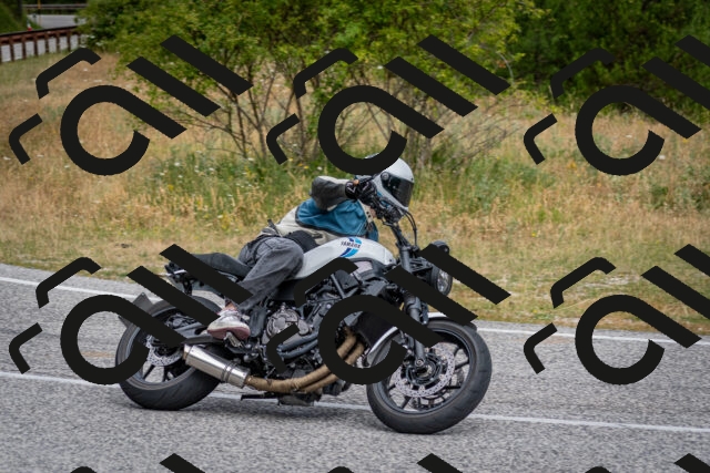 202507131036-DSC_7281_c2